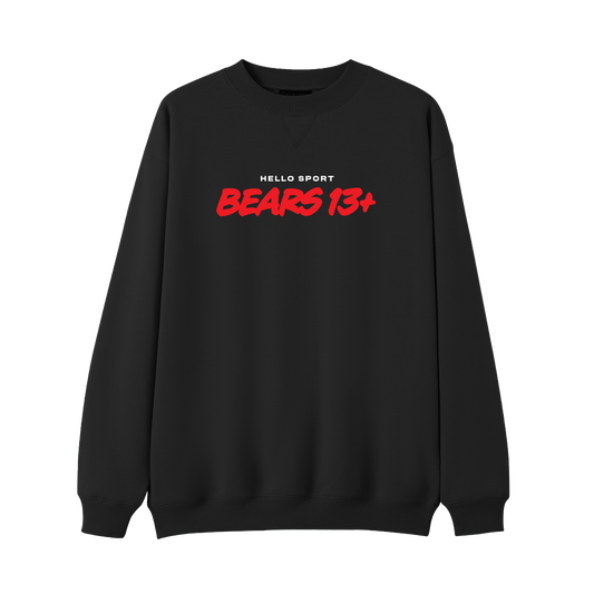 Bears 13+ Jumper
