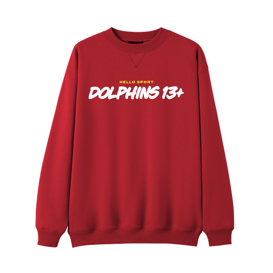 Dolphins 13+ Jumper